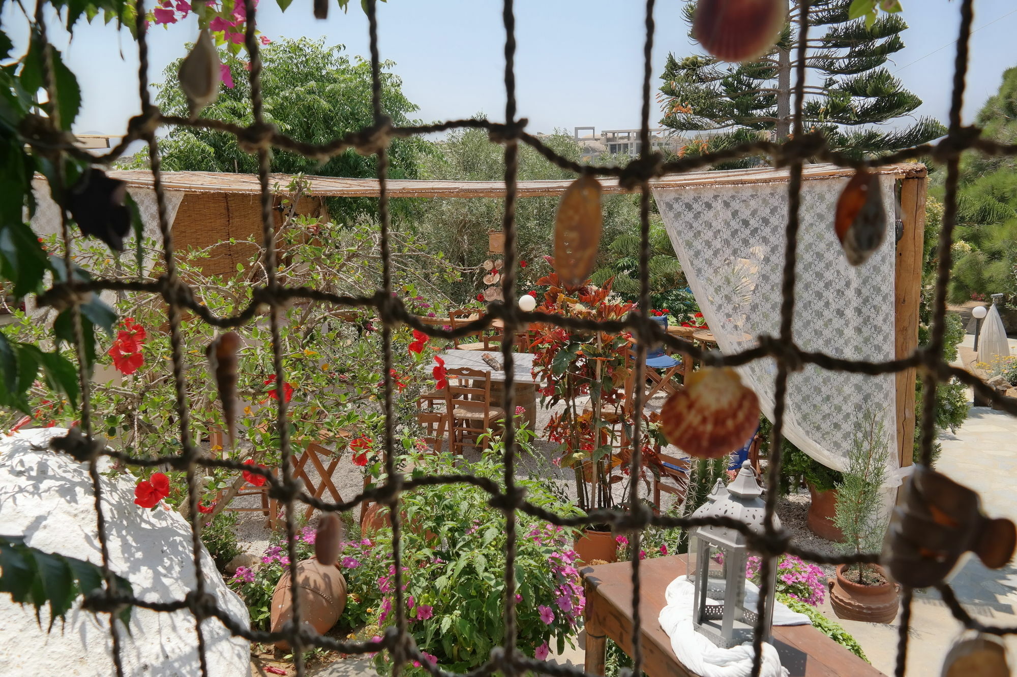 Sun Rock Apartments ستيليدا المظهر الخارجي الصورة
